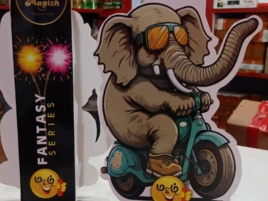 Fountain Firework Display